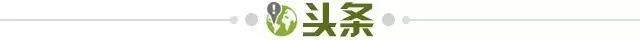 【早报】是谁？老佛爷宣布报价超1.5亿欧元！